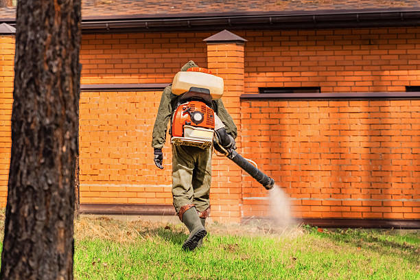 Trusted Mosquito Control service in Brookdale, SC - Nex Pest Control